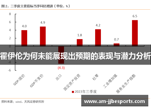 霍伊伦为何未能展现出预期的表现与潜力分析