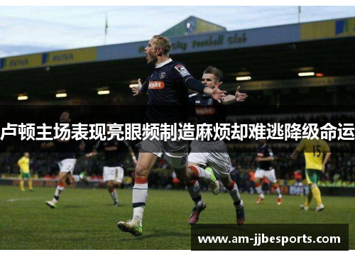 卢顿主场表现亮眼频制造麻烦却难逃降级命运 卢顿主场表现亮眼频制造麻烦却难逃降级命运